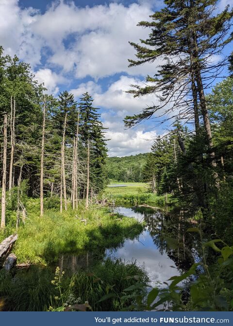 A view in Vermont