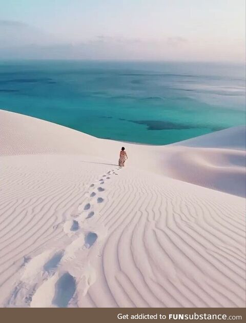 Socotra island, yemen