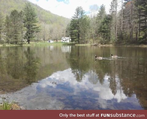 This pond in Pocahontas co. WV. Full of large mouth bass!