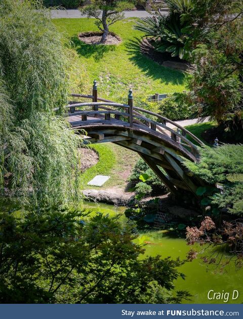 Japanese Garden at the Huntington [oc]