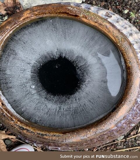 This ice formed perfectly in a way that makes it look exactly like an eyeball