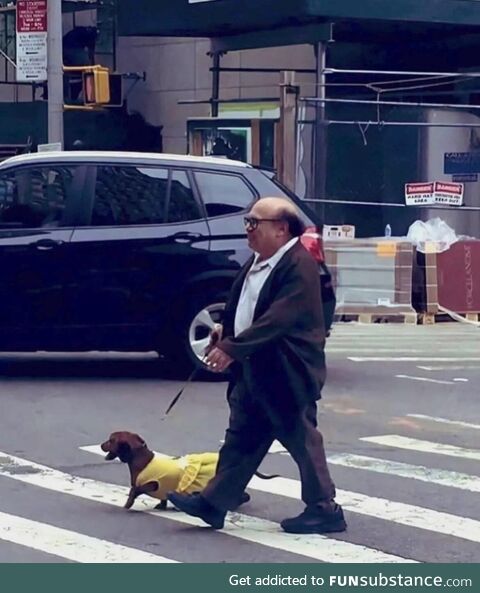 Mini man walking with his Mini dog