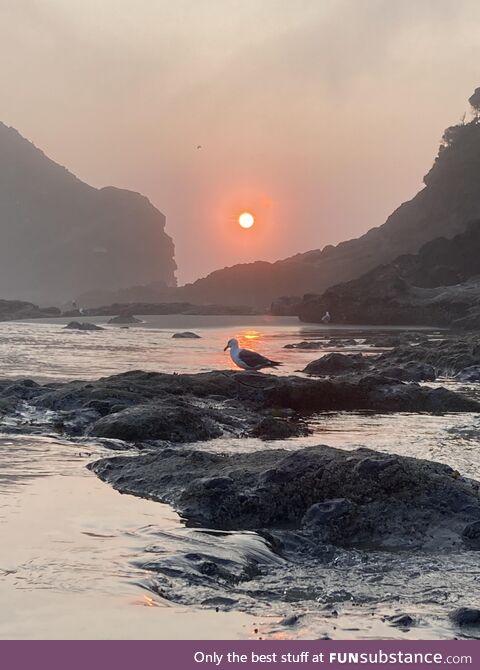 Probably the best shot I’ve gotten of the Oregon coast