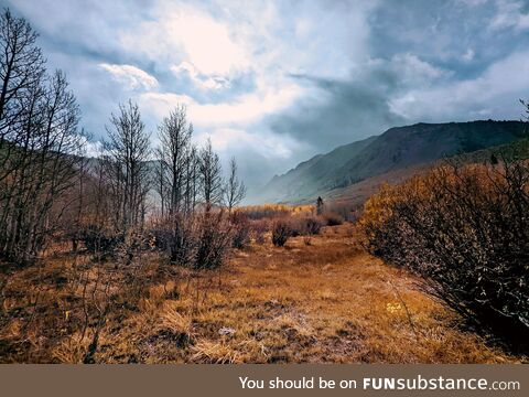 Fall in the Eastern Sierra, CA