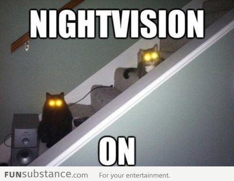 Night Vision