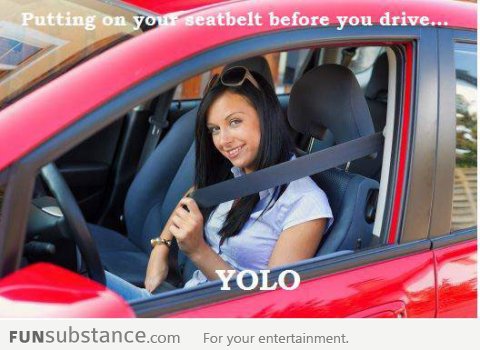 How YOLO should really be used