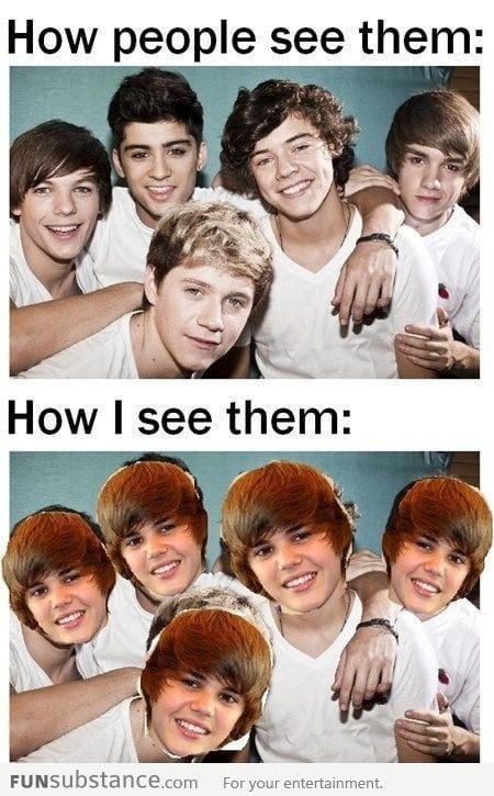 How People See One Direction