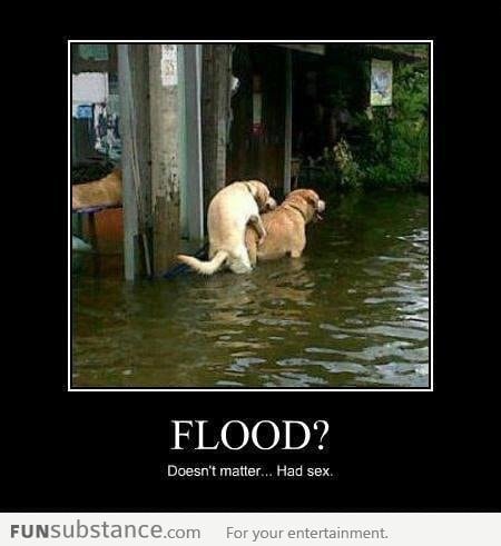 Doggy style during flood season