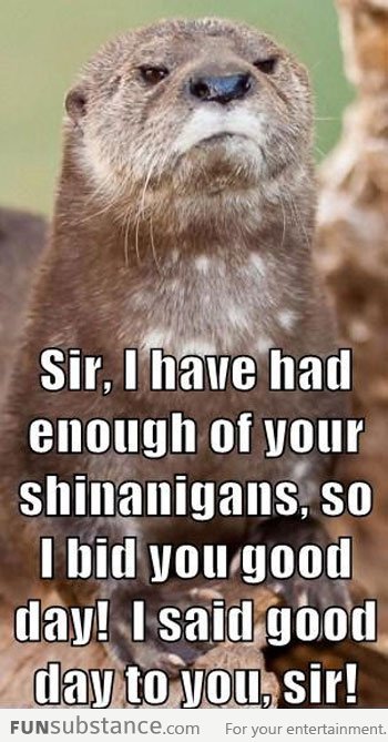 Offended Otter