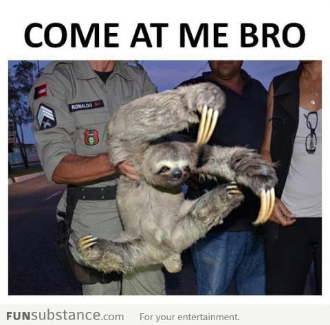 Yeah .. come mess with me bro