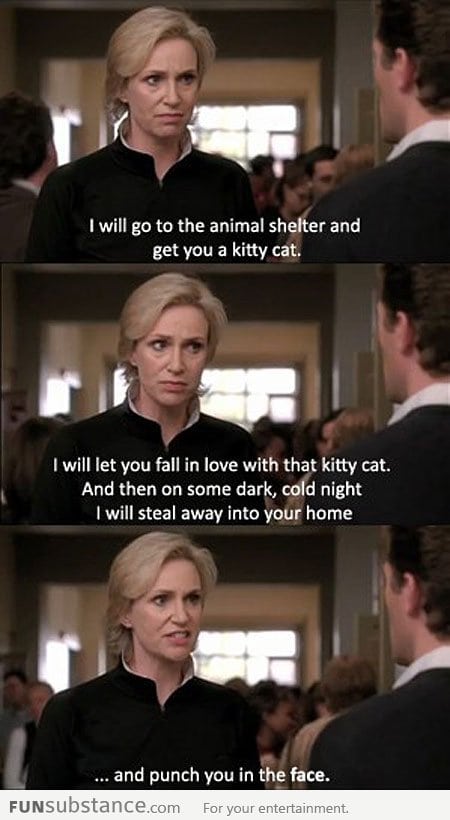 I'll get you a kitty cat