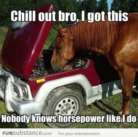 Nobody knows horsepower like I do