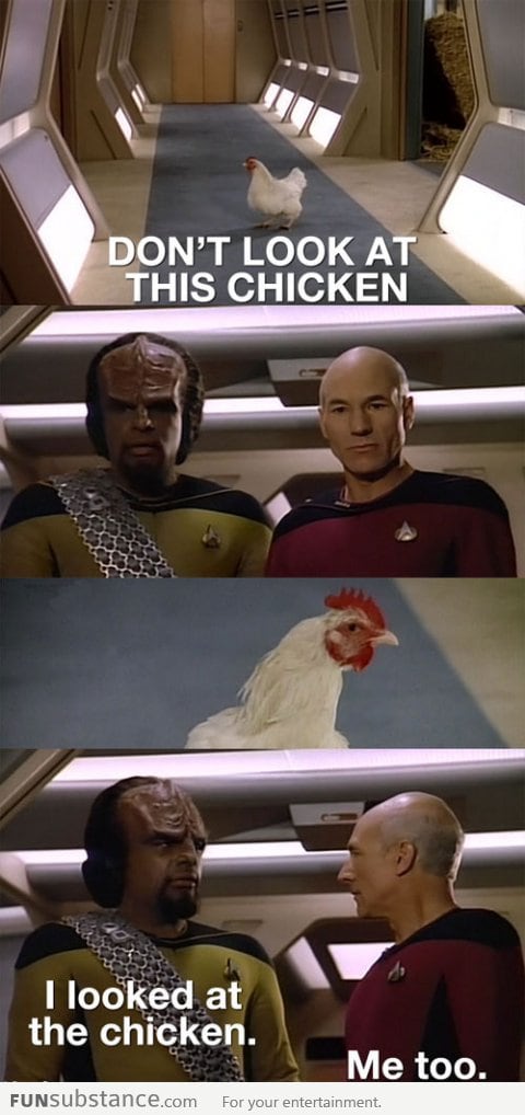 Don't look at the chicken!