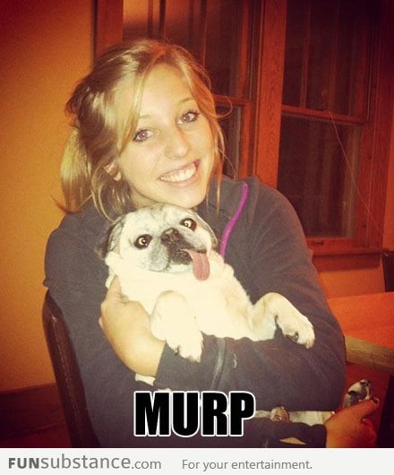 Murp