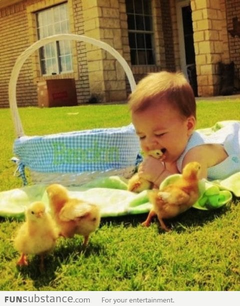 Baby eating ducks