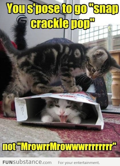 Why you no crackle?
