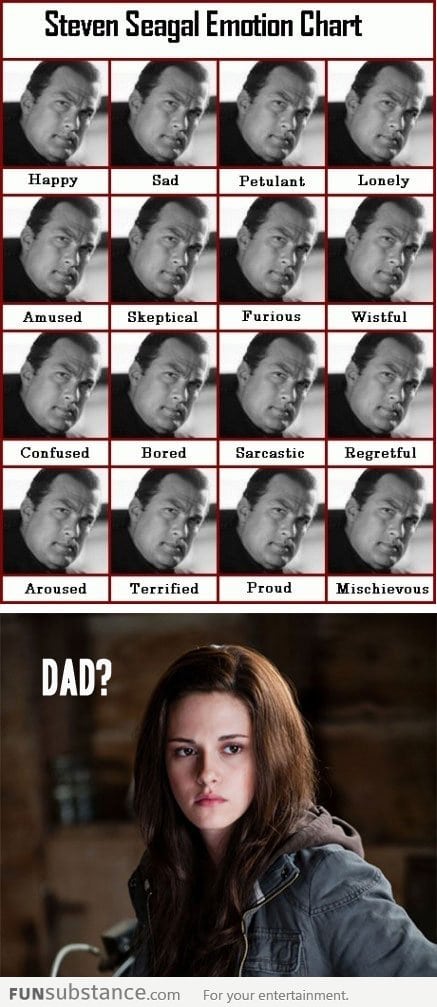 Steven Seagal emotion chart