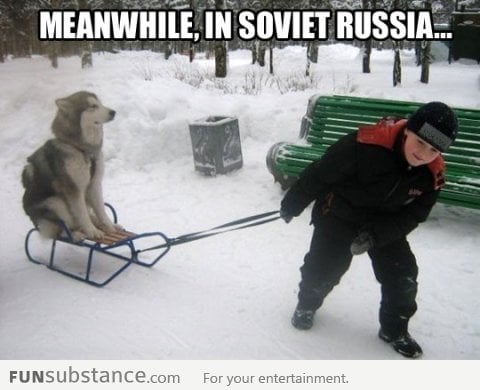 In soviet Russia, dog ride sleigh