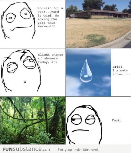 Happens to my yard every summer