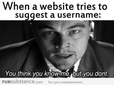 When A Website Tries To Suggest A Username