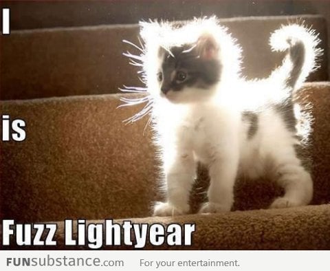 Fuzz Lightyear