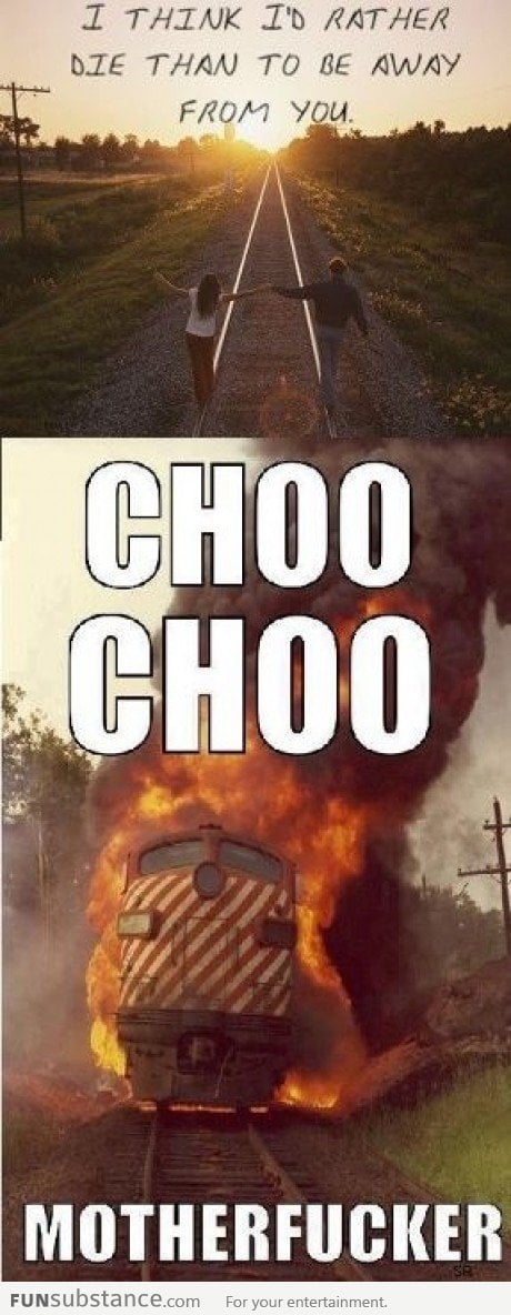 Cho Cho