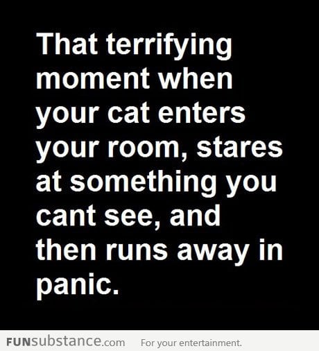 That terrifying moment