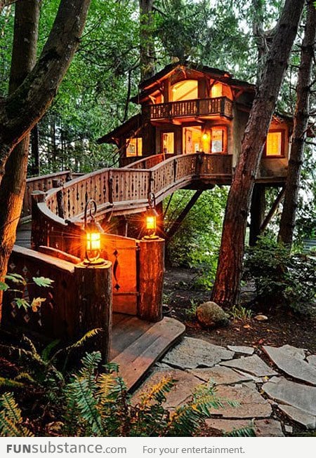 Inhabited Tree House in Seattle, Washington