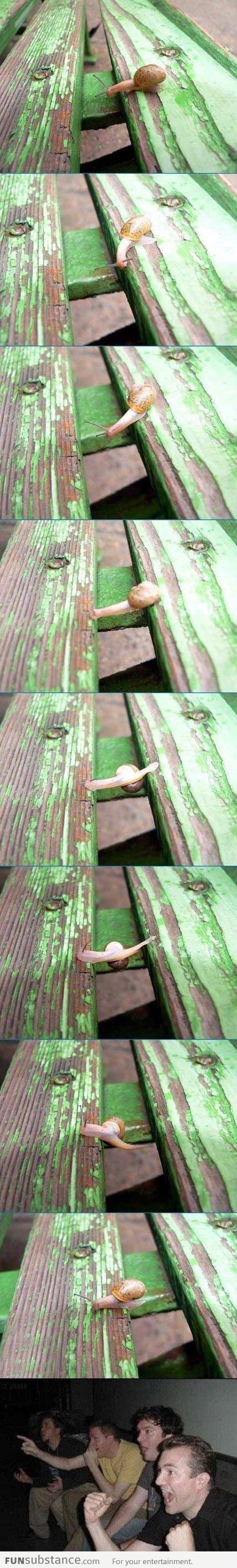 Snail parkour