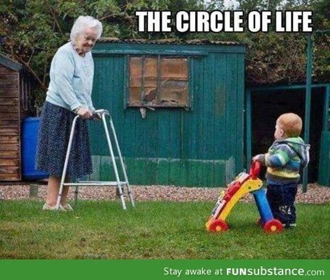 The real circle of life