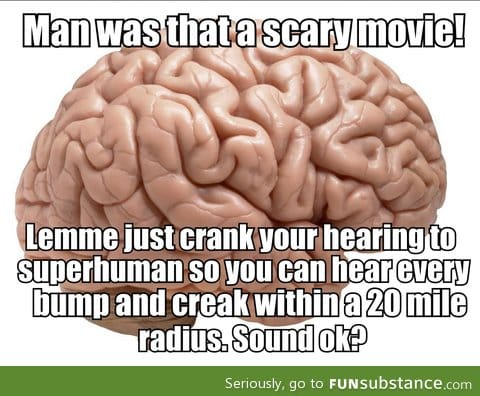 My brain after a scary movie