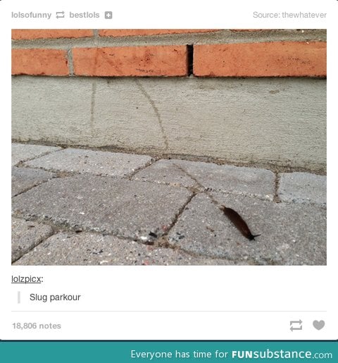 Slug parkour