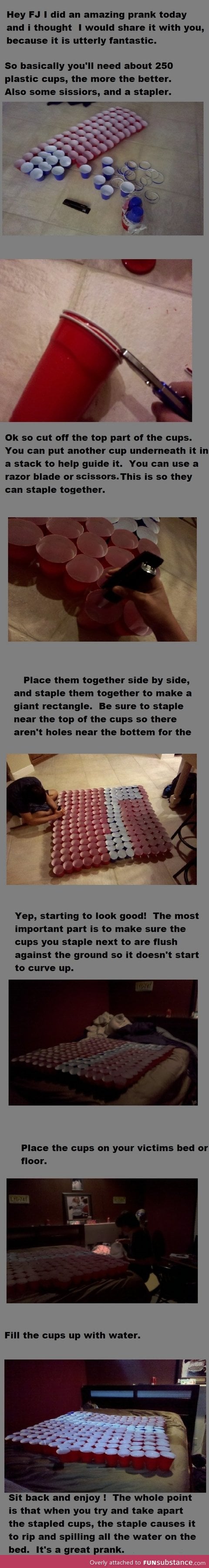 Cup prank