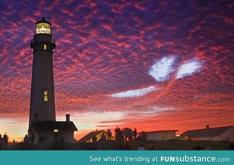 A sky whale spotted in california