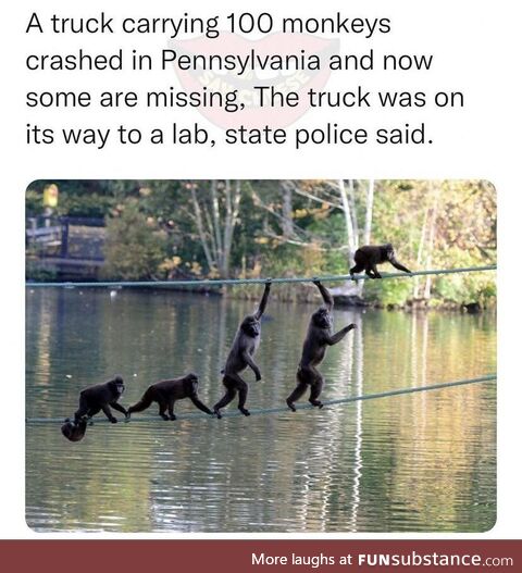 This dude just created a invasive species problem in Pennsylvania lol