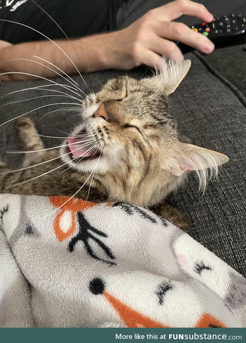 Told her a joke (OC)