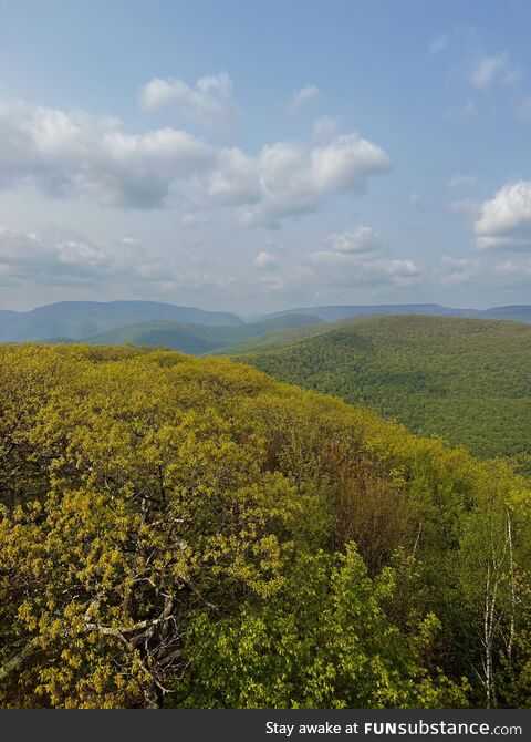 View from fire tower on Mt. Tremper - upstate New York