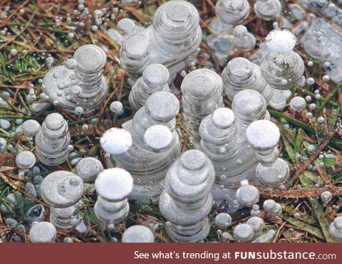 Air bubbles trapped in a shallow frozen puddle