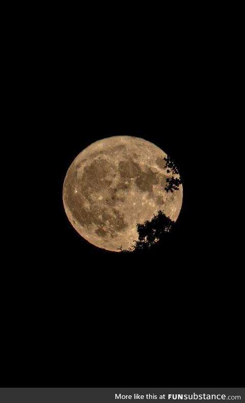 Super moon seen from Michigan