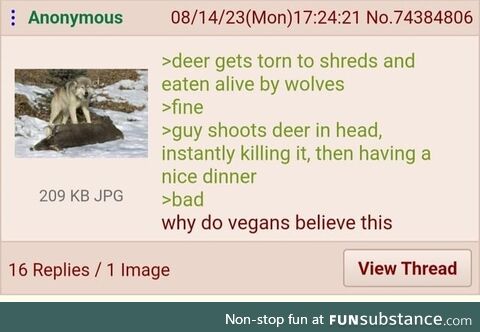 Anon doesn't like Vegans