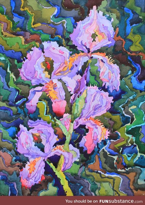 Lavender Irises, watercolor painting, 15x11 inches, the sunset highlighted irises in the