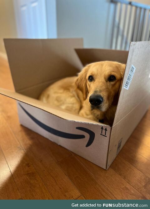 Cutest delivery ever!