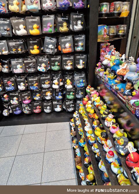 Duck Shop in Amsterdam