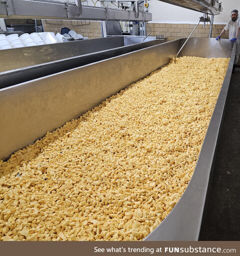 Took this at work today. About 1200 lbs (544 kg) of cheese curds!