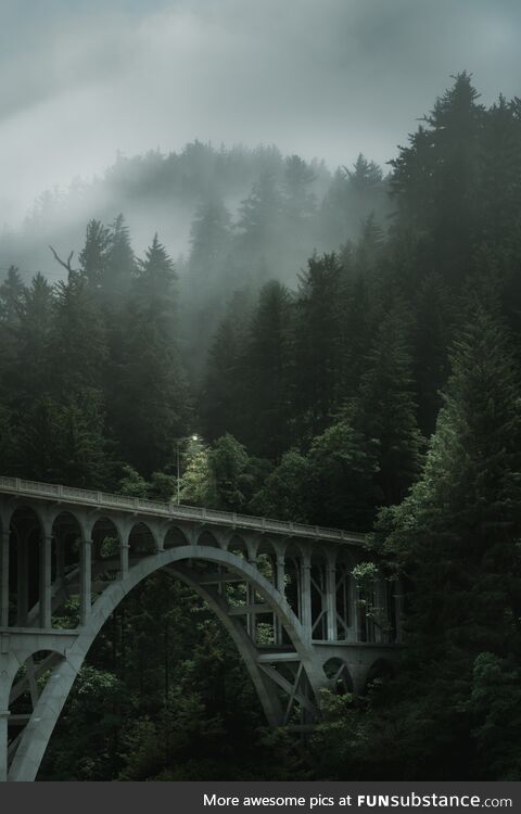 A shot I took of a bridge on the Oregon Coast