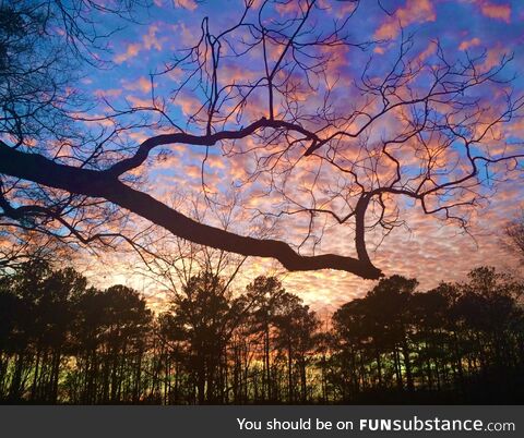 Cherry blossom clouds