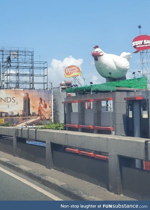 Have you seen a giant chicken wearing a facemask and face shield?