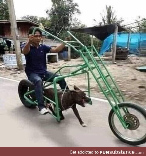 Dog powered motorcycle