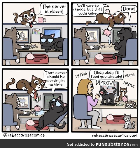 [oc] petwork error