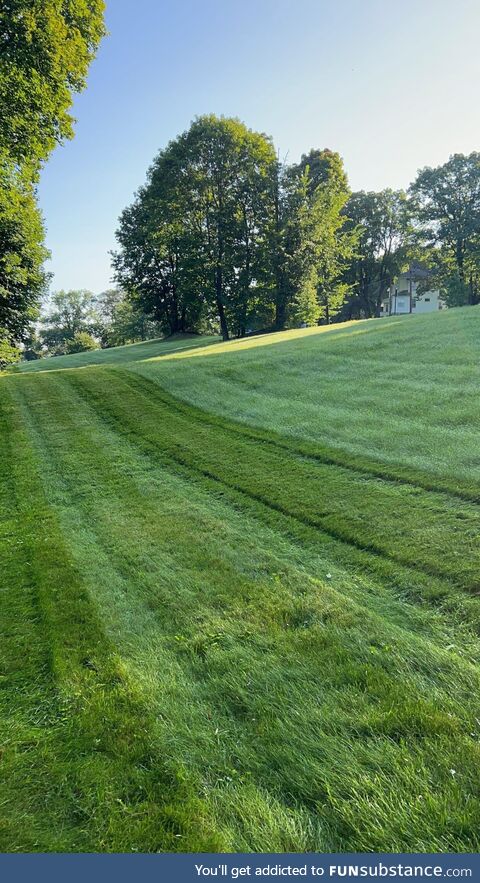 Morning mow